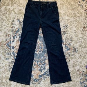Anthropologie Level 99 Tanya Flare Jeans
